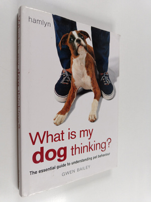 Gwen Bailey : What is My Dog Thinking?