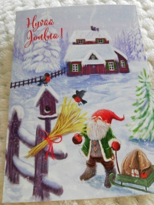 Tonttu ja linnut *hyvää joulua*
