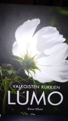 Riina Hifumi : Valkoisten kukkìen lumo ( SIS POSTIKULU )