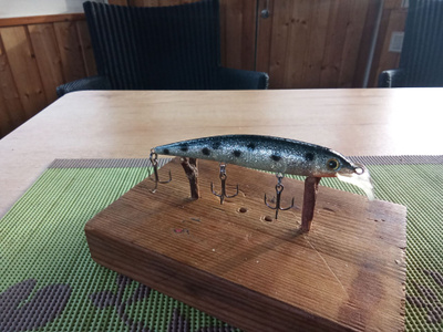 Taiga Lures Saga 10cm