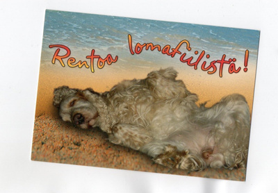 °°RENTOA LOMAFIILISTÄ!°° -KORTTI /Karto