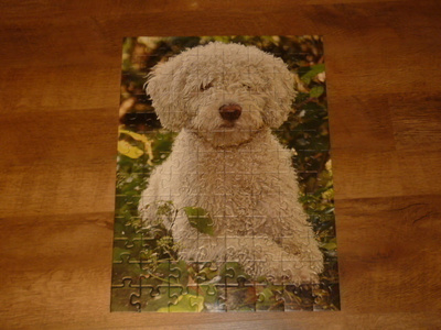 Ravensburger 100 palan palapeli espanjalainen vesikoira