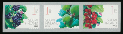 2013, Puutarhamarjoja**