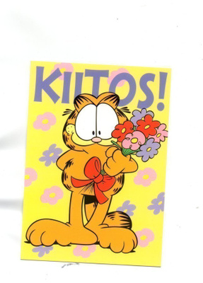 "°°KIITOS!°°" -KORTTI / KARVINEN