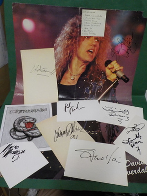 WHITESNAKE NIMMARISETTI