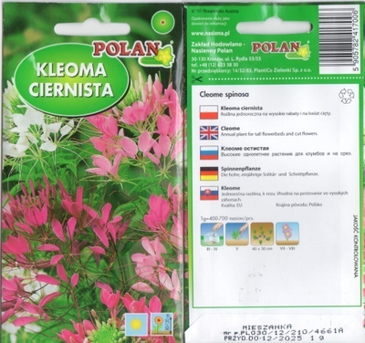Hämähäkkikukka, väriseos HUOM PÄiVÄYS! Ale -30%##