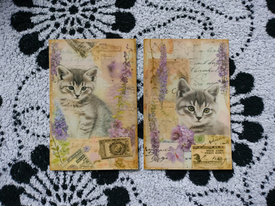 ~Kissa kortti~ 2kpl
