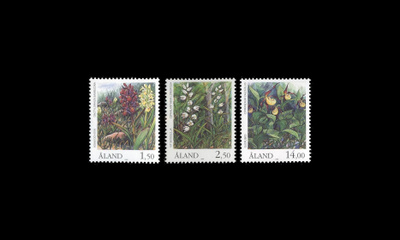 33-5 ** Kasveja (1989)