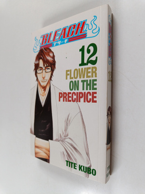 Tite Kubo : Bleach, 12 - Flower on the precipice