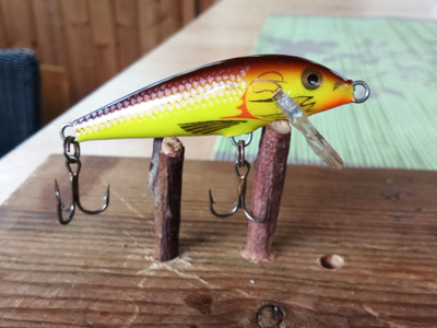 Rapala  sinking Ireland 5cm
