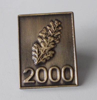 Tammenlehvä 2000 Pinssi