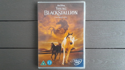 DVD: Young Black Stallion / Nuori Musta Ori (Disney) UUSI