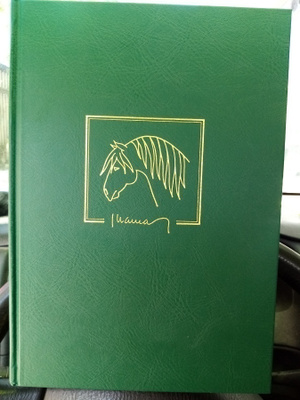 JUAN LLAMAS :  THIS IS THE SPANISH HORSE ( SIS POSTIKULU )