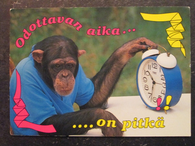 KULKEMATON ODOTTAVAN AIKA...ON PITKÄ
