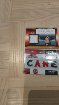 Honorary patch ruutu cane patch cane!/25!
