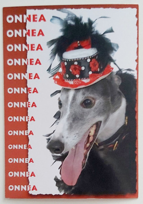 "Koira juhlahatussa"-KULKEMATON POSTIKORTTI