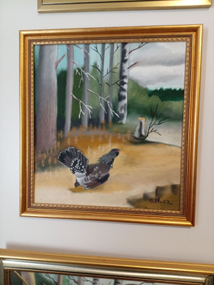 Metso- Öljyvärimaalaus
