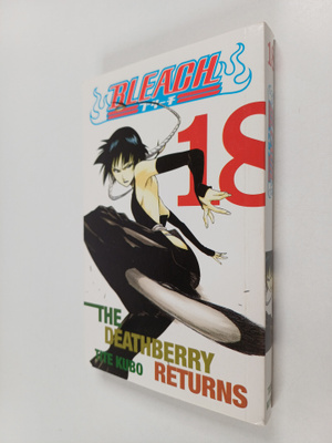 Tite Kubo : Bleach, 18 - The Deathberry returns