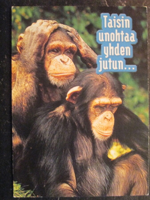 KULKEMATON TAISIN UNOHTAA YHDEN JUTUN...