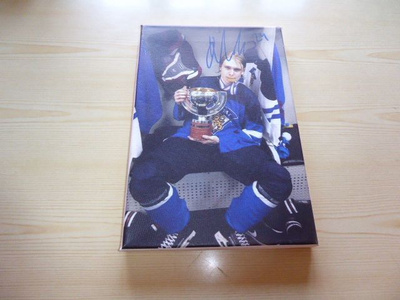Kaapo Kakko Leijonat canvastaulu koko 20 cm x 30 cm