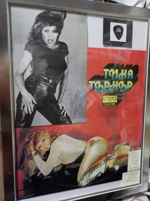 TINA TURNER NIMMARITAULU