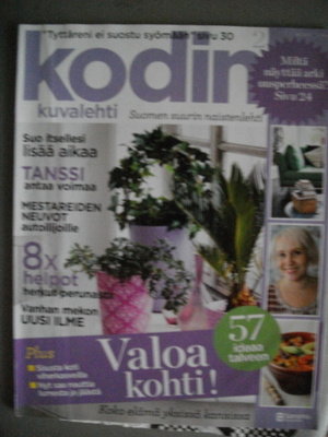 Kodin Kuvalehti Nro 2/2010 (17.3)