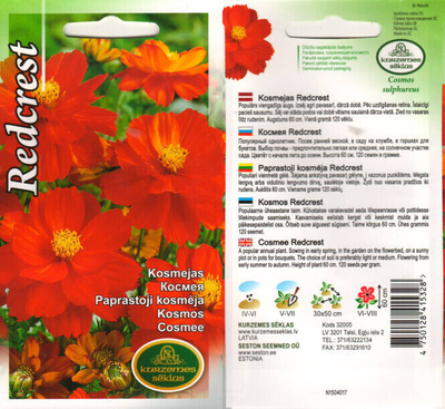 Keltakosmos 'Redcrest' - siemenet #