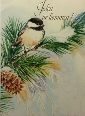 Talitintti männyn oksalla 1996