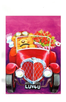 °°NALLE & ONNITTELUT°° -KORTTI