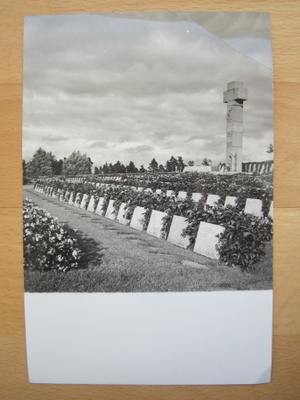 VANHA Valokuva Tampere Sankaripatsas Sankarihaudat 1940-luku