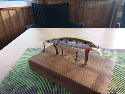 Taiga Lures Saga 10cm