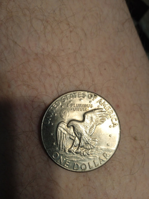 1974 EISENHOWER 1 DOLLARIN HOPEINEN KOLIKKO