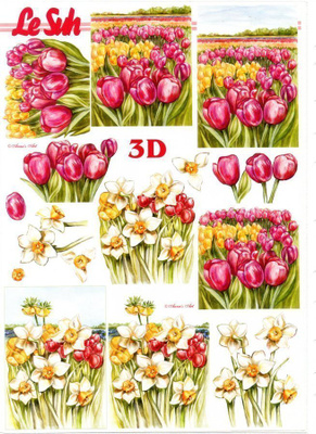 3D °°TULPPAANIT & NARSISSIT°° /Le Suh