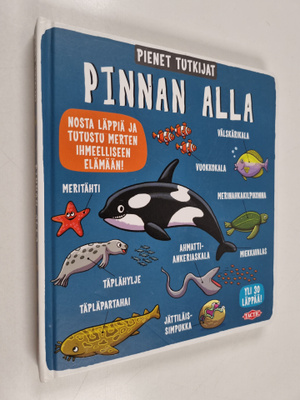 Pinnan alla