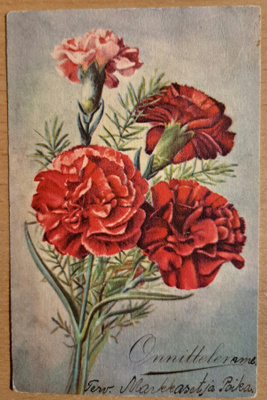 kukkakortti, neilikoita, kulkenut 1938