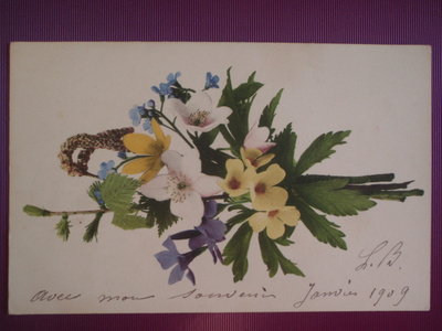 Vuokkokimppu WANHA 1909