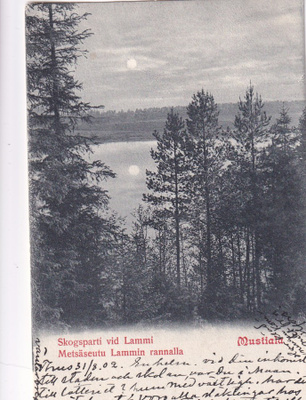 Lammi, Mustiala b502