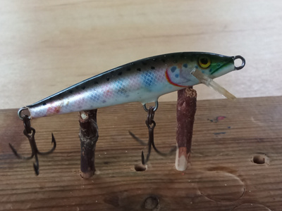 Rapala   Floating Finland  6,5cm Rainbow Trout