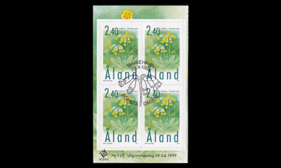 156 o Kevätesikko neliö EPL (1999)