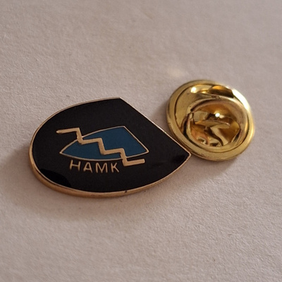 HAMK PINSSI