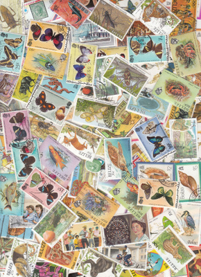 BELIZE 99 erilaista uutta