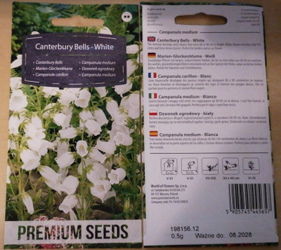 Maariankello 'Canterbury Bells - White' - siemenet #