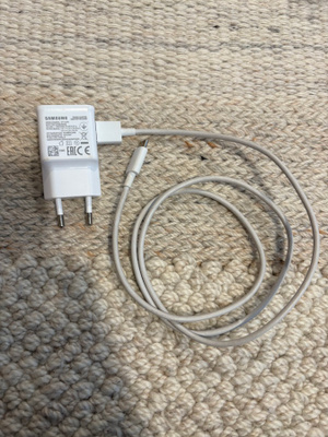 Samsung Nopea Matkalaturi 10 W, valkoinen