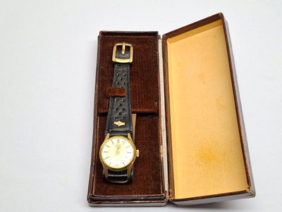 Novus 17 rubis incabloc rannekello Swiss Made