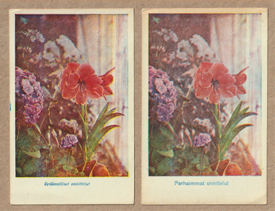 Vanhat onnittelukortit: amaryllis