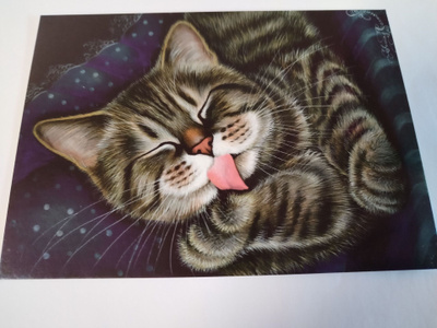 Kissa kortti,kulkematon.