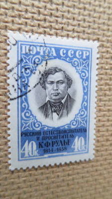 CCCP 1958: Karl Rule - 100 v. kuolemasta