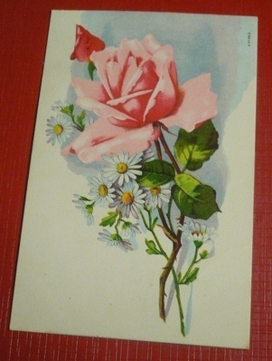 Ruusu ja margareta (K6)