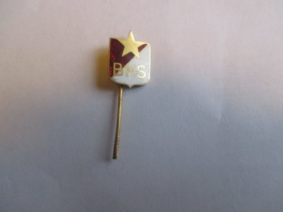 bks pinssi