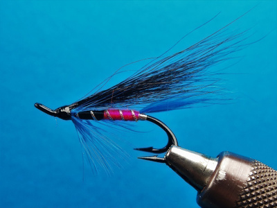 Lohiperho Jerram`s Fancy # 4 d lw